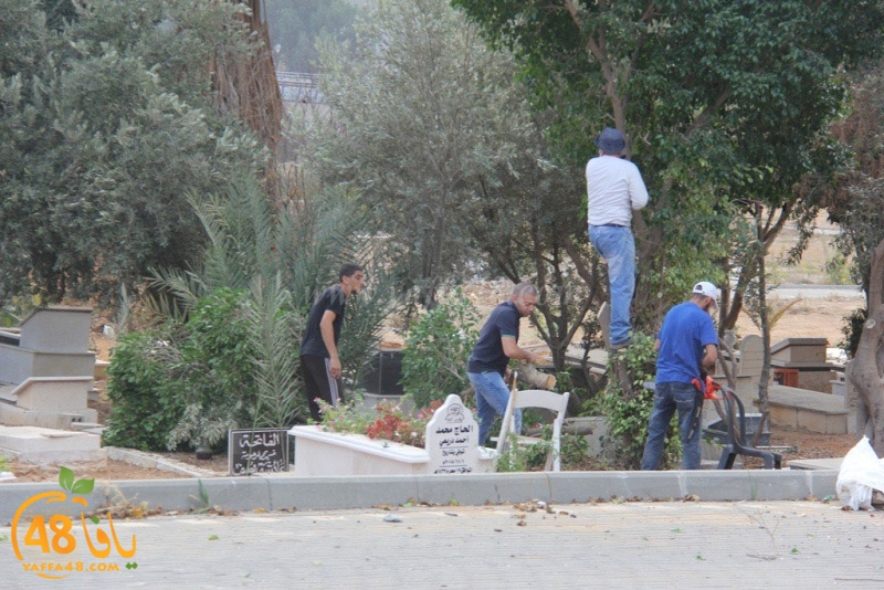 tasoooi3i1412 (1).JPG